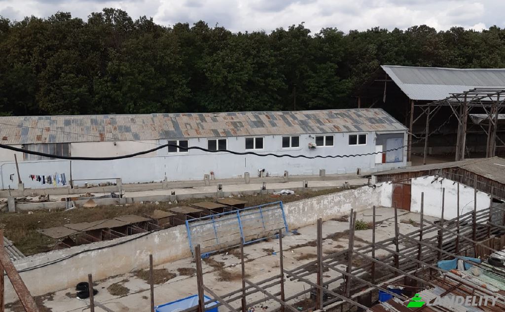 Земля/Ділянка продаж Strada Padurii, Pasarea 077145, Pasarea, Branesti, Ilfov County, Romania. Фото 1