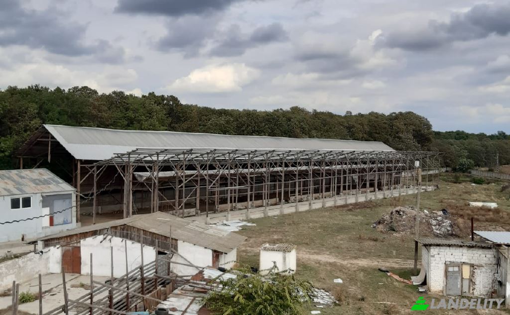 Земля/Ділянка продаж Strada Padurii, Pasarea 077145, Pasarea, Branesti, Ilfov County, Romania. Фото 4