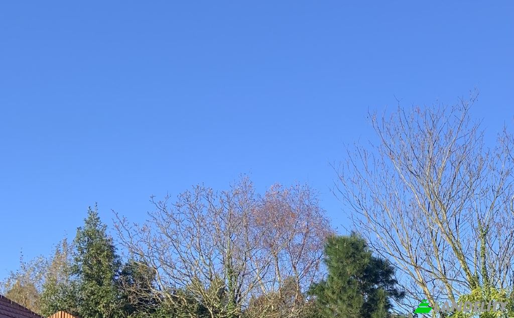 Односімейний будинок продаж Aldea la Corrada, La Corrada, Asturias, Spain. Фото 6
