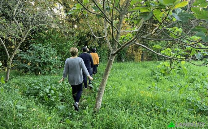 Односімейний будинок продаж Aldea la Corrada. Фото#8