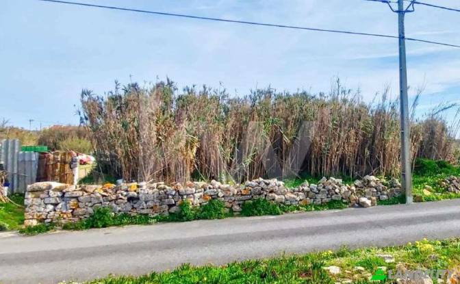 Terreno/Lote à venda Caminho da Nora, Peniche. foto#7 Terreno/Lote à venda Caminho da Nora, Peniche. foto#7