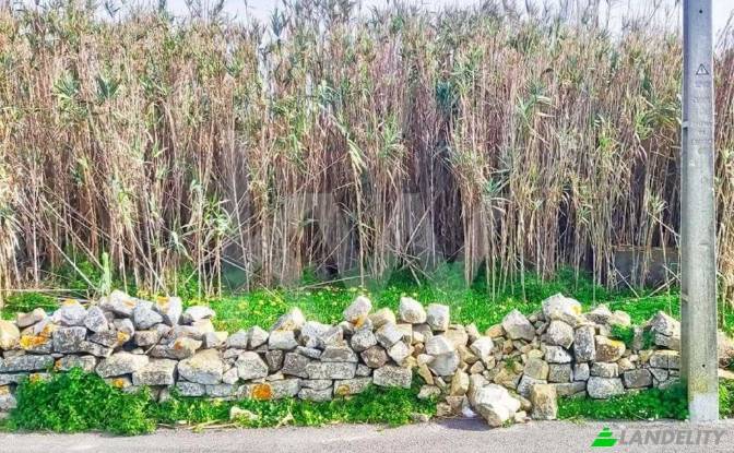 Terreno/Lote à venda Caminho da Nora, Peniche. foto#8 Terreno/Lote à venda Caminho da Nora, Peniche. foto#8