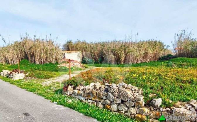 Terreno/Lote à venda Caminho da Nora, Peniche. foto#9 Terreno/Lote à venda Caminho da Nora, Peniche. foto#9