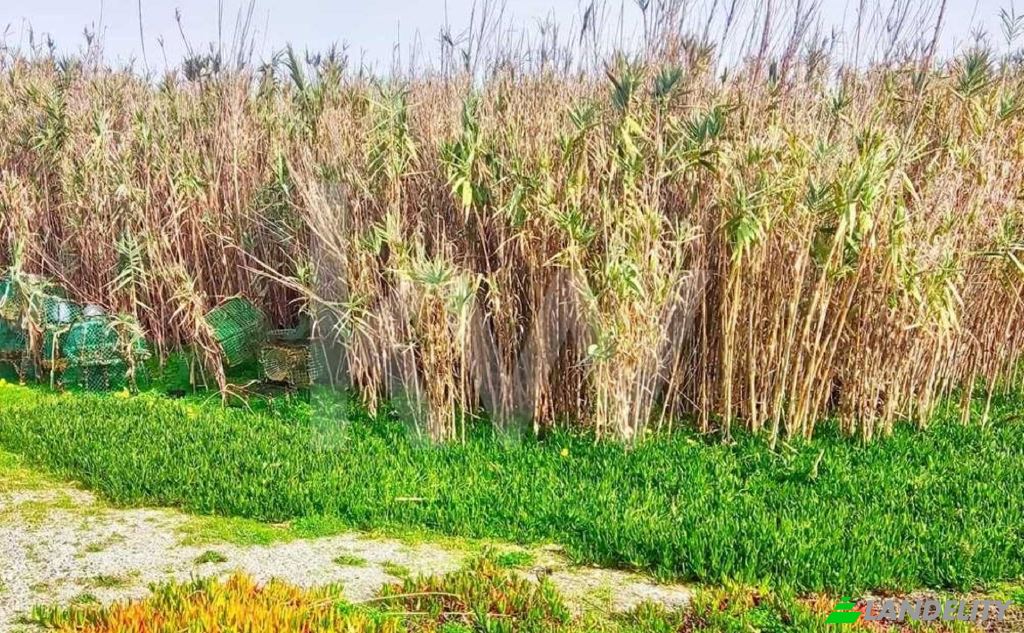 Terreno/Lote à venda Caminho da Nora, Peniche, Leiria, Portugal. foto 10