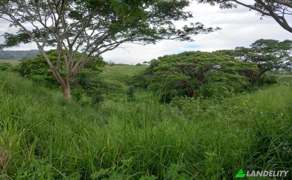 Земля/Ділянка продаж Tau, Nadroga-Navosa, Western Division, Fiji. Фото 5