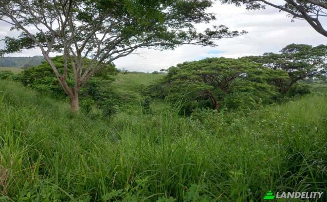 Земля/Ділянка продаж Tau, Nadroga-Navosa. Фото#5