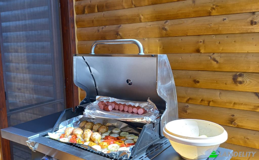 Single Family Home for Rent Drum fara nume, Hartagani 337056, Hartagani, Baita, Hunedoara, Romania. Photo 3