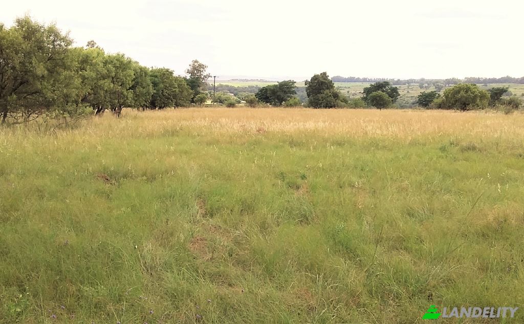 Земля/Ділянка продаж Main Avenue, Northern Farm, Sunrella AH, City of Johannesburg Metropolitan Municipality, Gauteng, South Africa. Фото 1