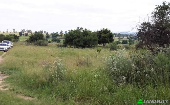 Terreno/Lote à venda Main Avenue, Northern Farm. foto#2
