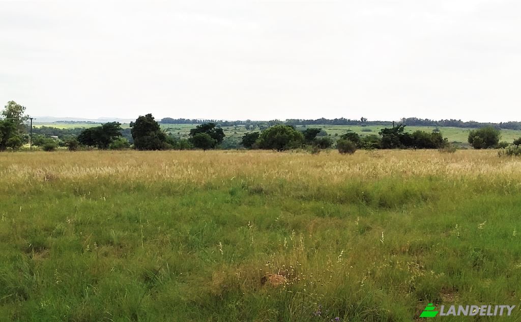 Земля/Ділянка продаж Main Avenue, Northern Farm, Sunrella AH, City of Johannesburg Metropolitan Municipality, Gauteng, South Africa. Фото 6
