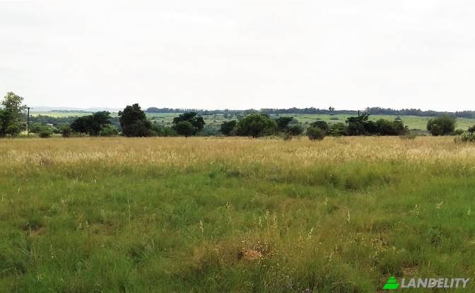 Земля/Ділянка продаж Main Avenue, Northern Farm. Фото#6