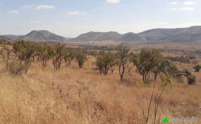 Земля/Ділянка продаж Pretoria Rural, Centurion. Фото#3