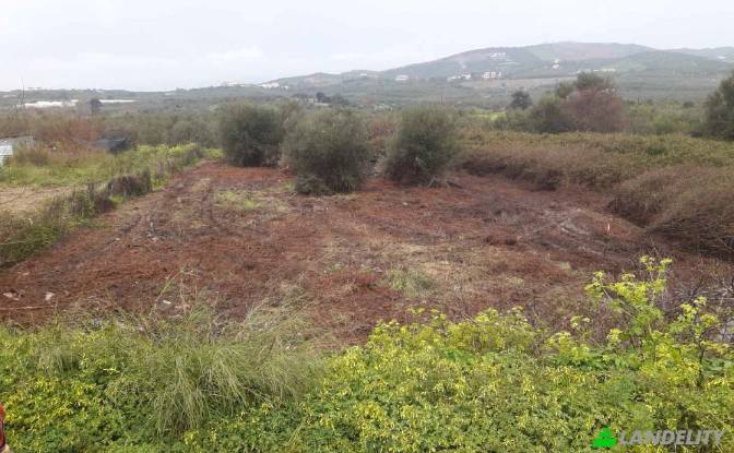 Land/Lot for Sale dos xoris onomasia, Milopotamos. Photo#2