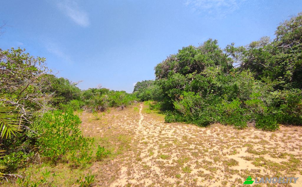 Земля/Ділянка продаж Wanathavillu, Puttalam, North Western Province, Sri Lanka. Фото 7