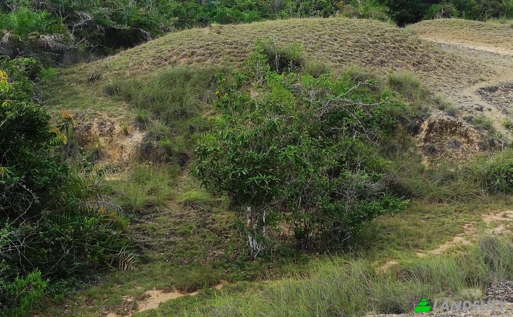 Земля/Ділянка продаж Wanathavillu, Puttalam, North Western Province, Sri Lanka. Фото 2