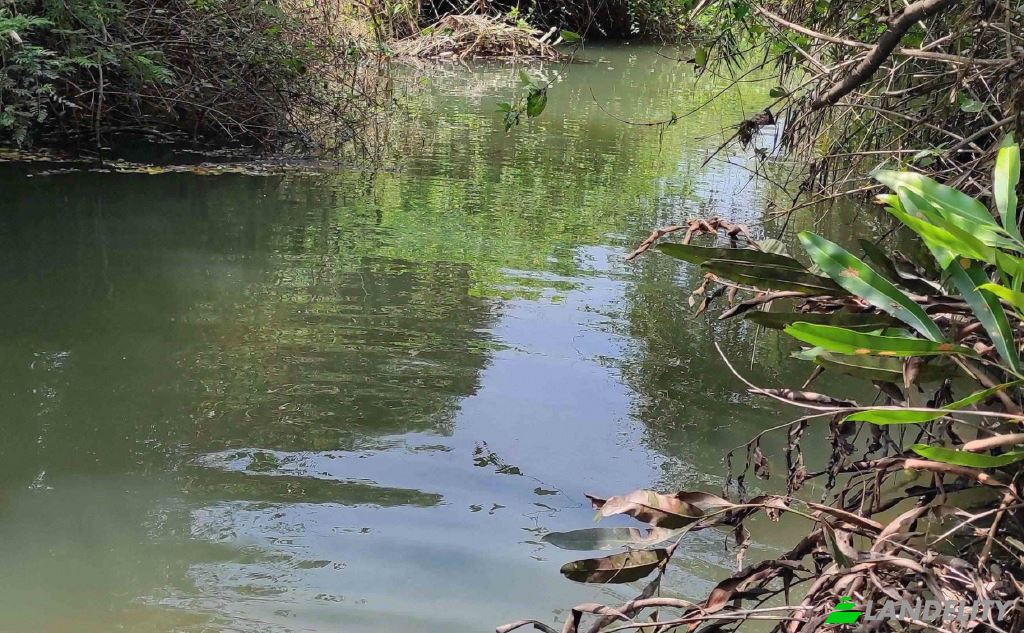 Земля/Ділянка продаж Wanathavillu, Puttalam, North Western Province, Sri Lanka. Фото 1