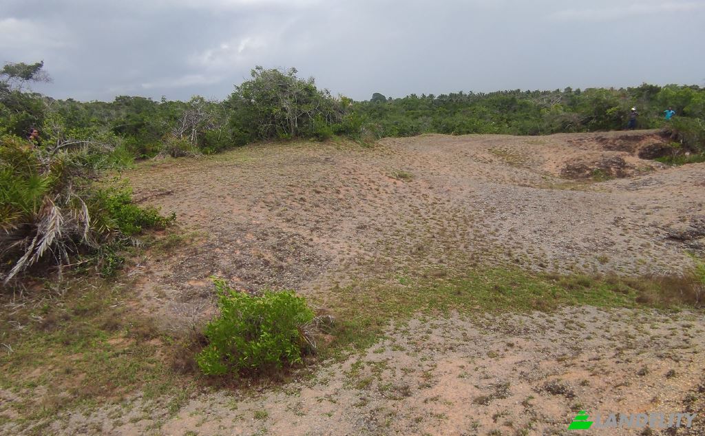 Земля/Ділянка продаж Wanathavillu, Puttalam, North Western Province, Sri Lanka. Фото 6