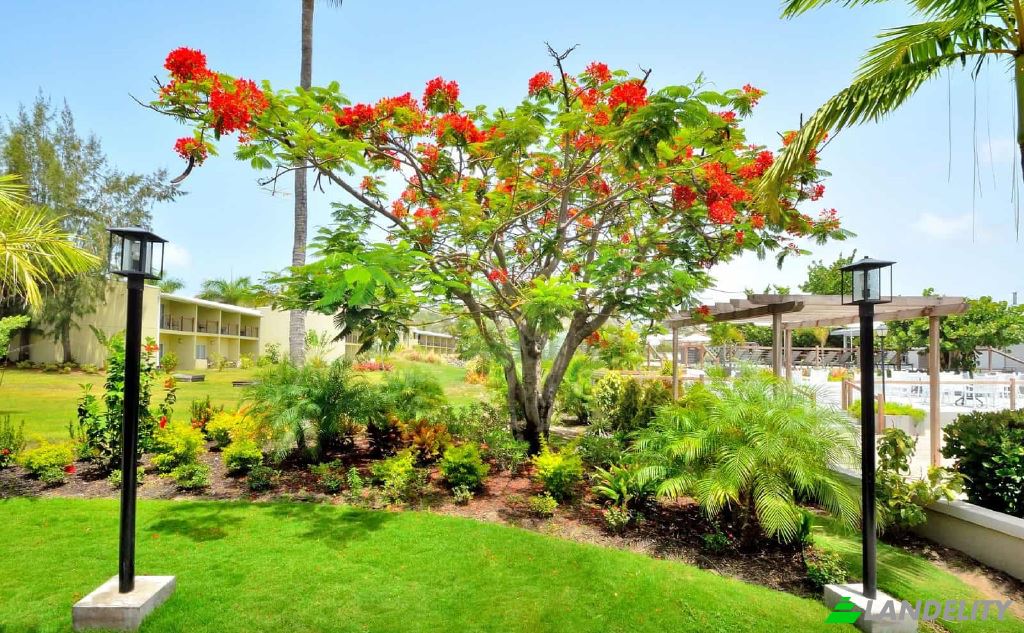 Квартира продаж Zenway Boulevard Frigate Bay St Kitts, St Kitts Nevis, Lucas, Saint Peter Basseterre Parish, Saint Kitts and Nevis. Фото 4