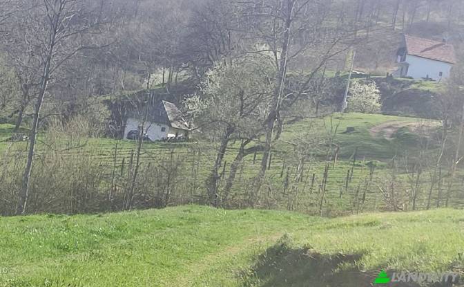 Земля/Ділянка продаж Obod, Potrk. Фото#5