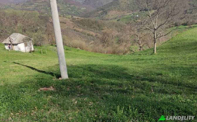 Земля/Ділянка продаж Obod, Potrk. Фото#6