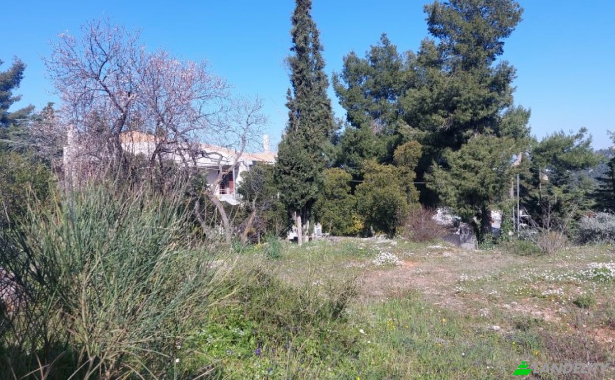 Земельна ділянка продаж Kizikou 11, Dionisos 145 76, Dionysos, Attica, Decentralized Administration of Attica, Greece. Фото 5