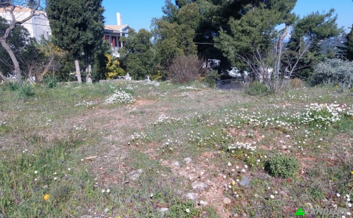 Земельна ділянка продаж Kizikou 11, Dionisos 145 76, Dionysos, Attica, Decentralized Administration of Attica, Greece. Фото 6