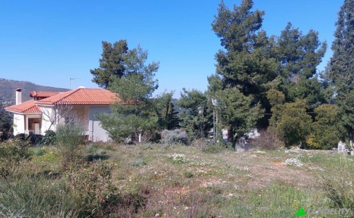 Земельна ділянка продаж Kizikou 11, Dionisos 145 76, Dionysos, Attica, Decentralized Administration of Attica, Greece. Фото 7