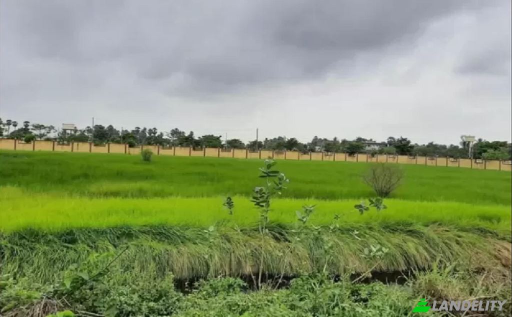 Земля/Ділянка продаж Nawan Pind Rd, Gujranwala, Punjab, Pakistan. Фото 1