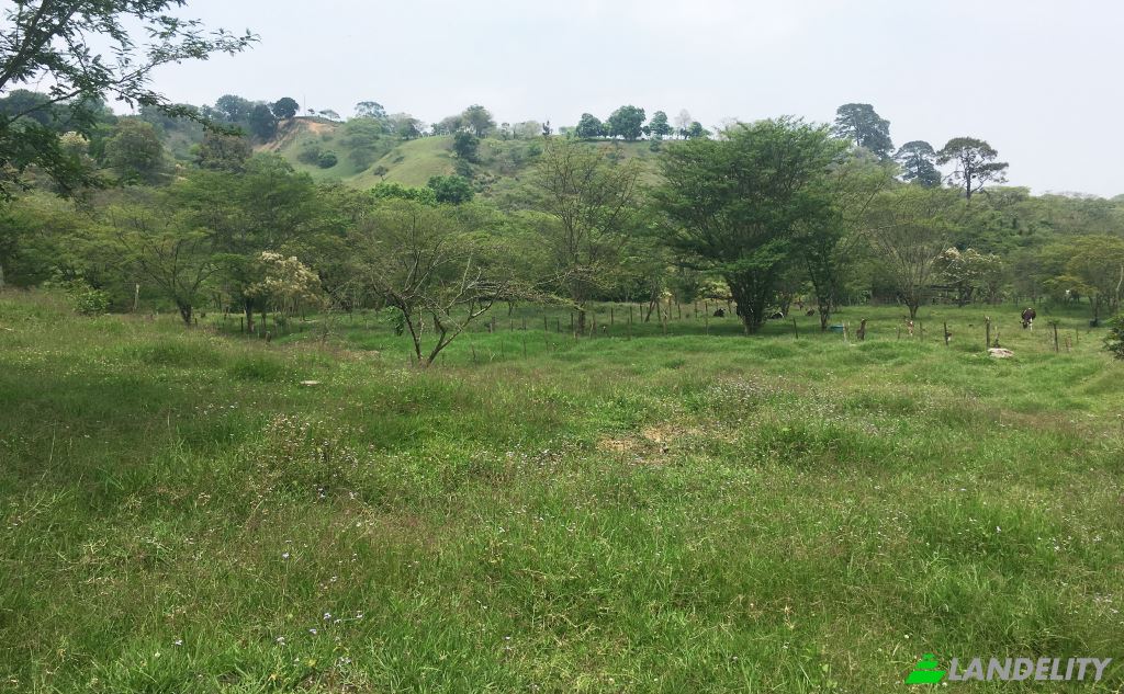 Land/Lot for Sale Revolucion, Xico, Veracruz, Mexico, 91240 Xico, Ver. Photo 1