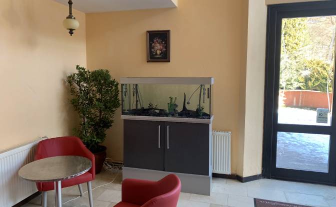 Hotel for Sale DJ121A, Valea Crisului. Photo#7