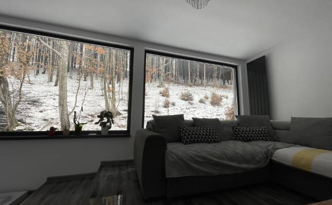 Hotel for Sale DJ121A, Valea Crisului. Photo#9