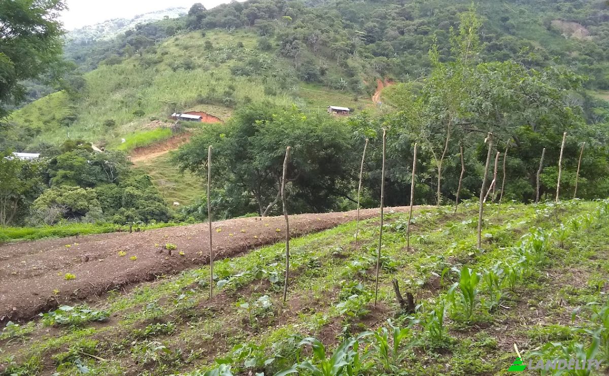 Land Lot for Sale Frente A Entrada Lastre, San Jose, Santa Ana, San Jose Province, Costa Rica. Photo 15