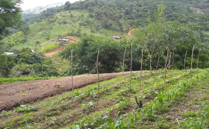 Land Lot for Sale Frente A Entrada Lastre. Photo#15 Land Lot for Sale Frente A Entrada Lastre. Photo#15