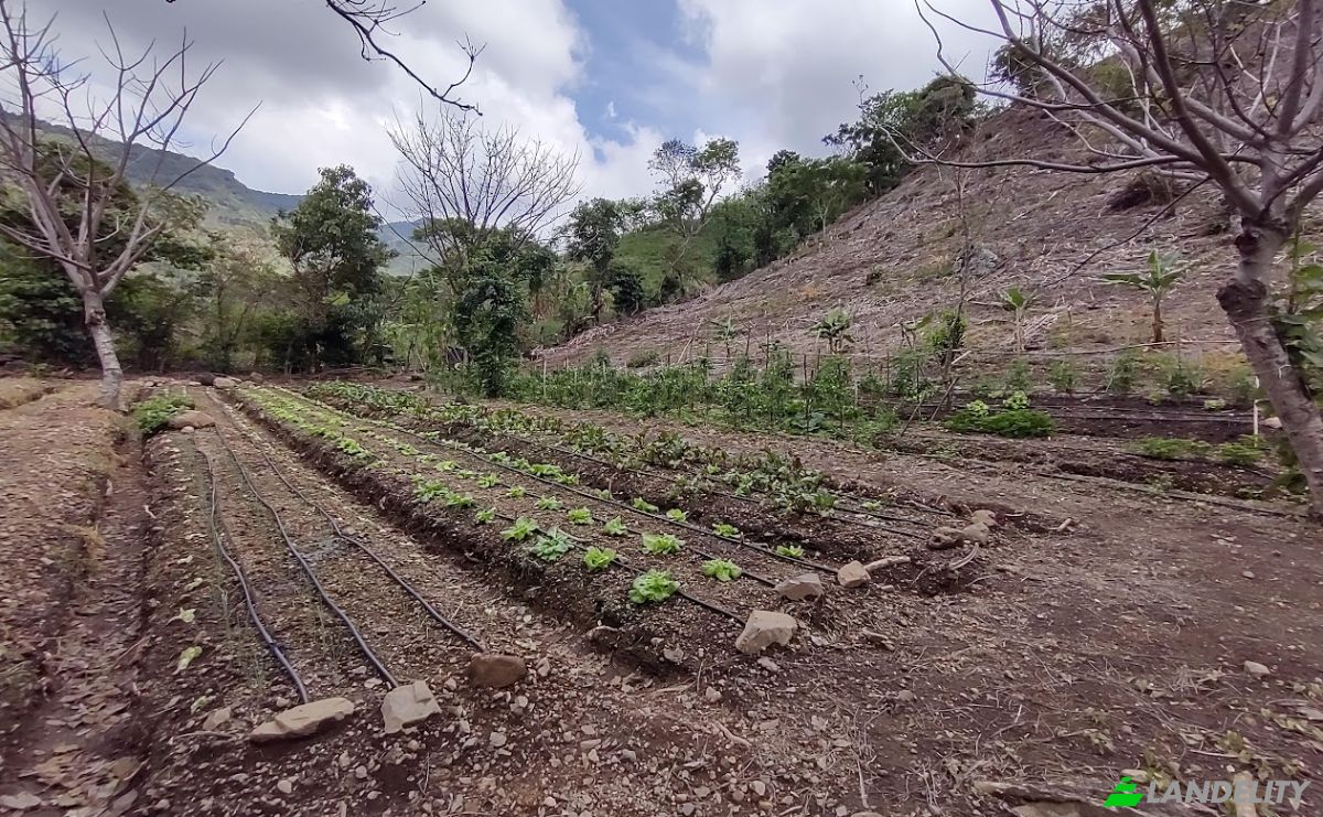 Land Lot for Sale Frente A Entrada Lastre, San Jose, Santa Ana, San Jose Province, Costa Rica. Photo 17