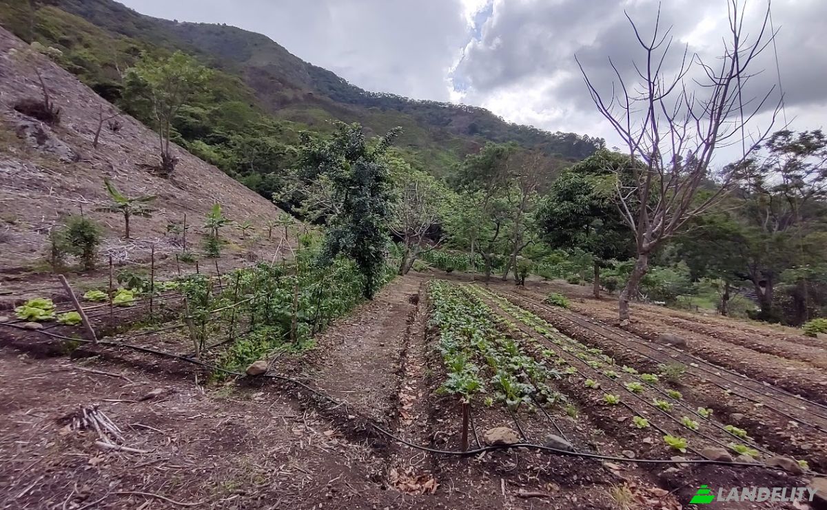 Land Lot for Sale Frente A Entrada Lastre, San Jose, Santa Ana, San Jose Province, Costa Rica. Photo 18