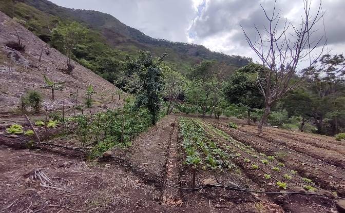 Land Lot for Sale Frente A Entrada Lastre. Photo#18 Land Lot for Sale Frente A Entrada Lastre. Photo#18