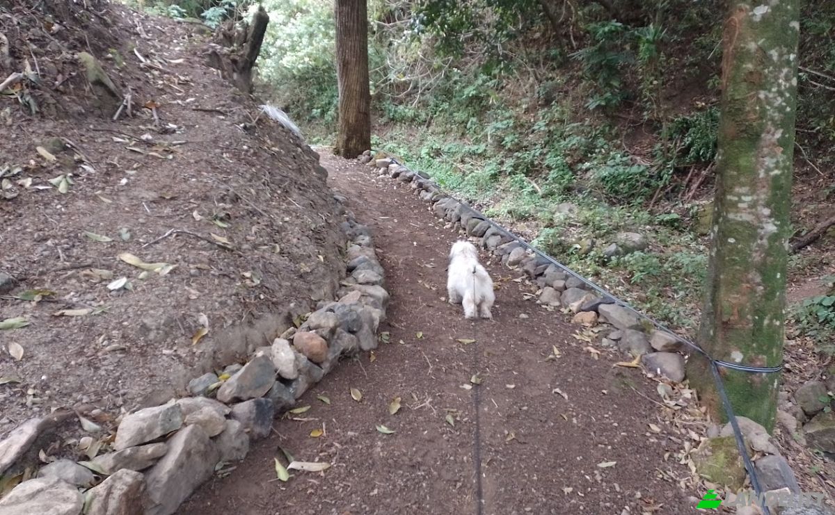 Land Lot for Sale Frente A Entrada Lastre, San Jose, Santa Ana, San Jose Province, Costa Rica. Photo 19