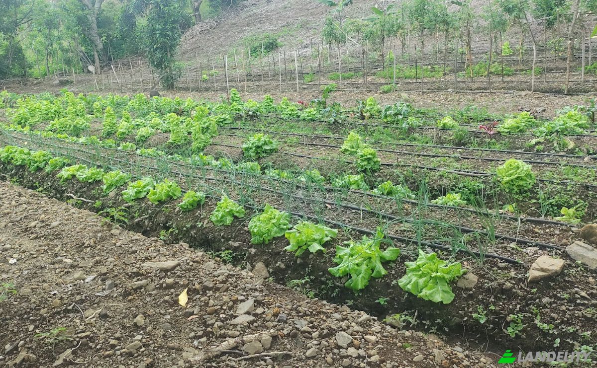 Land Lot for Sale Frente A Entrada Lastre, San Jose, Santa Ana, San Jose Province, Costa Rica. Photo 23