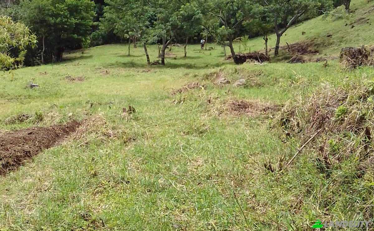 Land Lot for Sale Frente A Entrada Lastre, San Jose, Santa Ana, San Jose Province, Costa Rica. Photo 3