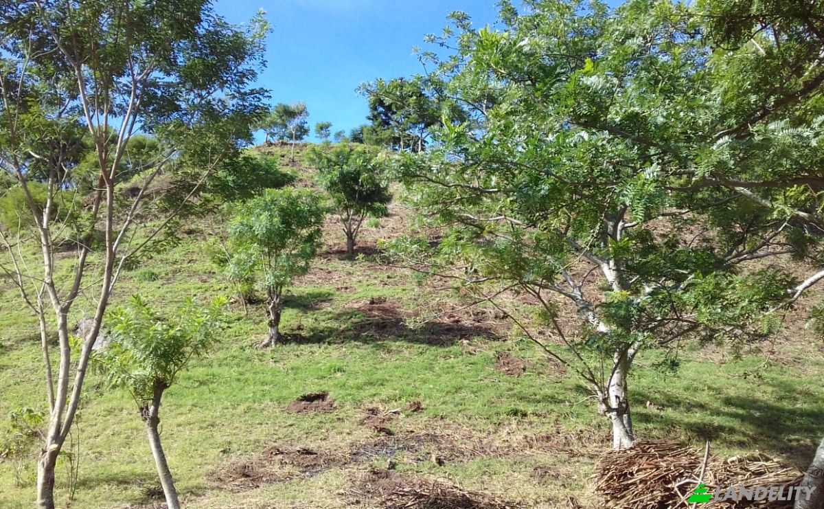 Land Lot for Sale Frente A Entrada Lastre, San Jose, Santa Ana, San Jose Province, Costa Rica. Photo 4