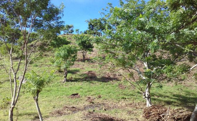 Land Lot for Sale Frente A Entrada Lastre. Photo#4 Land Lot for Sale Frente A Entrada Lastre. Photo#4