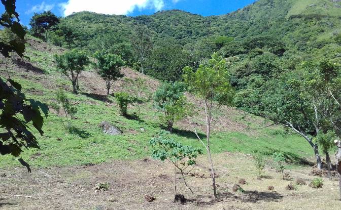 Land Lot for Sale Frente A Entrada Lastre. Photo#9 Land Lot for Sale Frente A Entrada Lastre. Photo#9