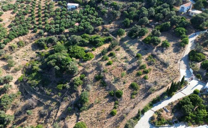 Investing/Development for Sale Gazi 715 00, Gazi. Photo#5