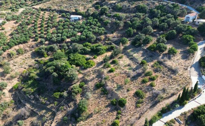Investing/Development for Sale Gazi 715 00, Gazi. Photo#3