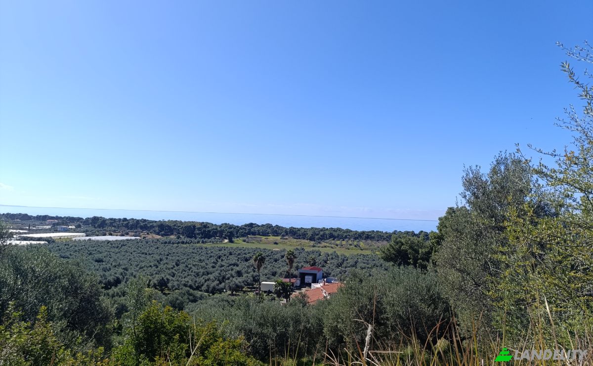 Land Lot for Sale EO Pirgou Kiparissias, Zacharo 270 54, Zacharo, Western Greece, Decentralized Administration of Peloponnese, Western Greece and the Ionian, Greece. Photo 10