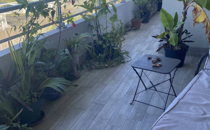 Apartment for Sale 2 Rue Albert Kakea. Photo#4 Apartment for Sale 2 Rue Albert Kakea. Photo#4