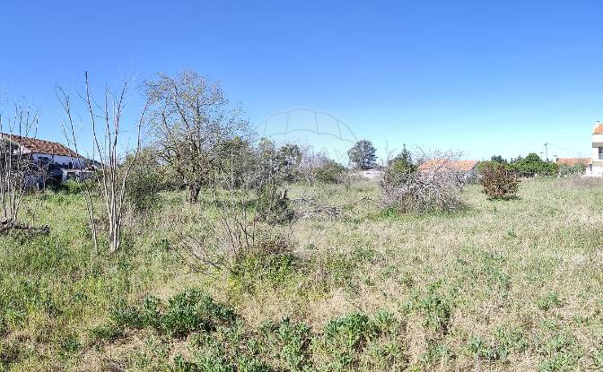 Land Lot for Sale R Antonio Gomes Reis 7. Photo#3