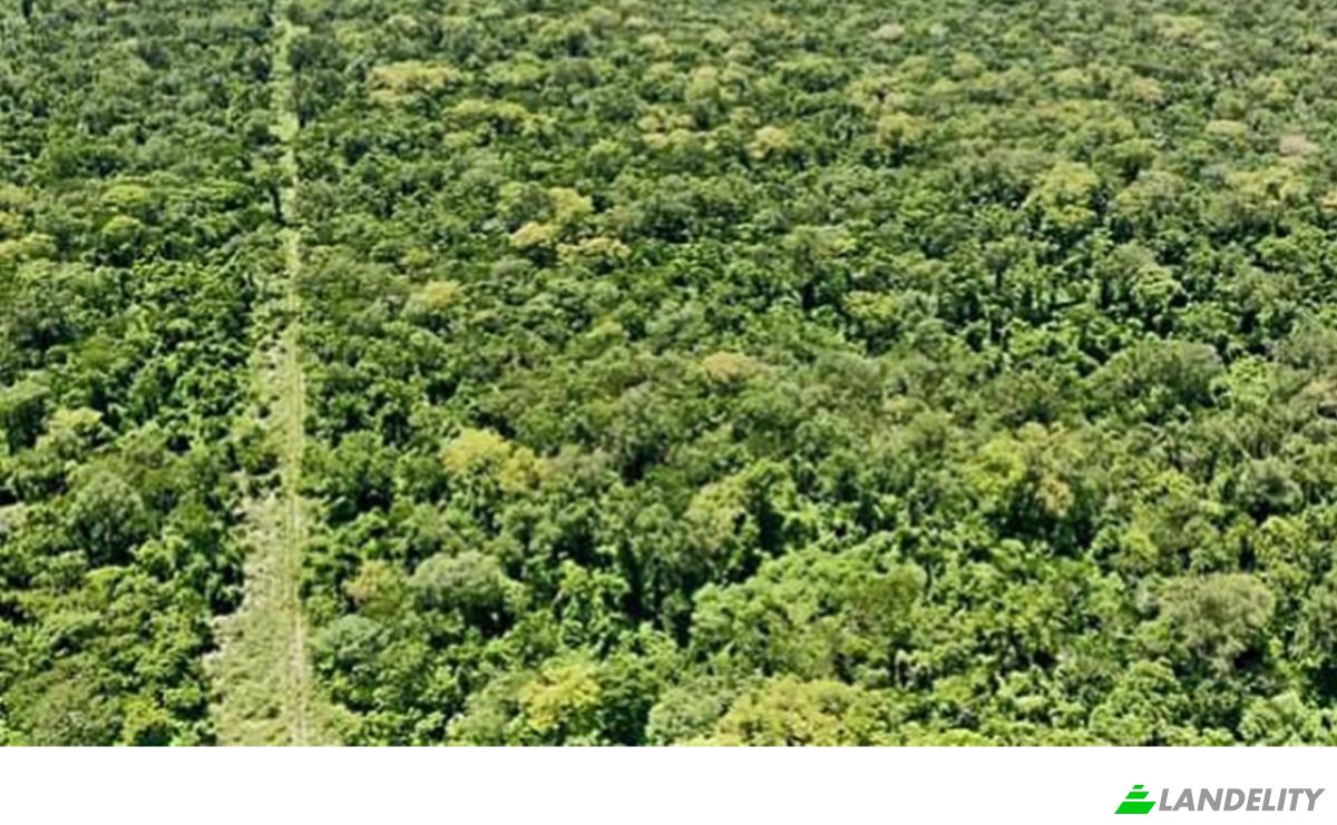 Investing/Development for Sale 170402 Lagerenzai, Lagerenzai, Bahia Negra, Alto Paraguay Department, Paraguay. Photo 1