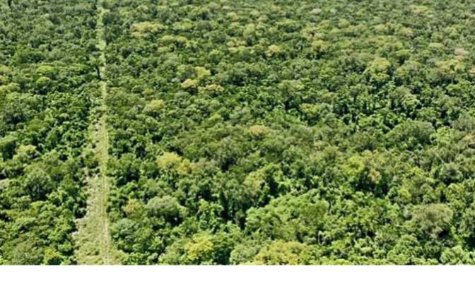 Investeren/Ontwikkelen Te koop - Lagerenza'i, Paraguay