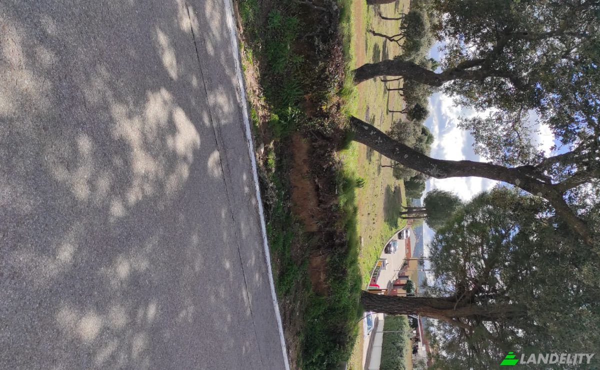 Land Lot for Sale C Arroyo Valdezate, Navas del Rey, Madrid, Community of Madrid, Spain. Photo 3